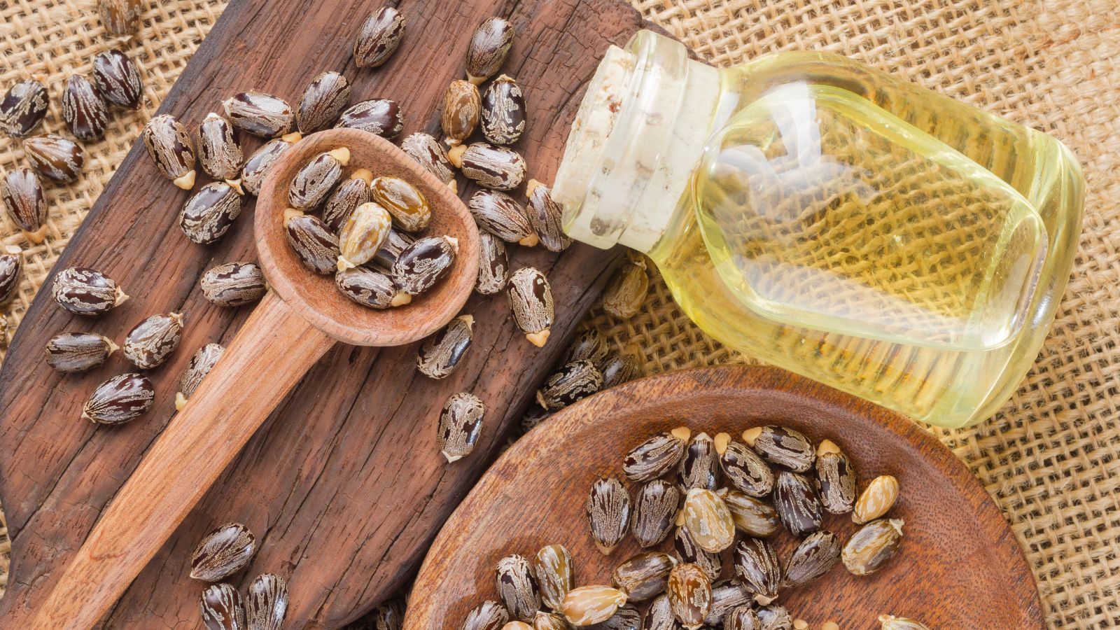 Aceite de ricino: propiedades, beneficios y para qué sirve en piel y cabello