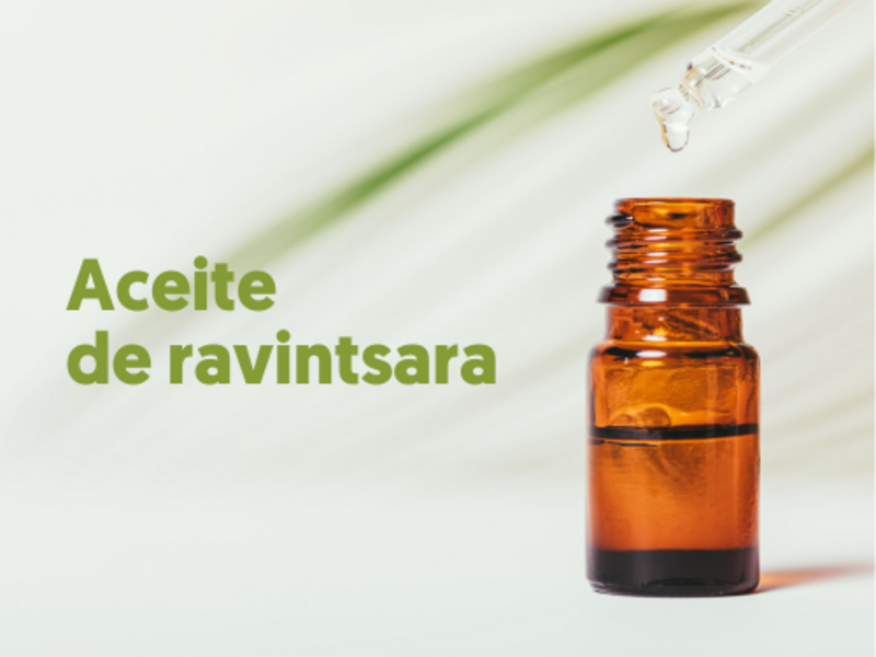 Aceite de ravintsara: tu aliado contra virus y resfriados