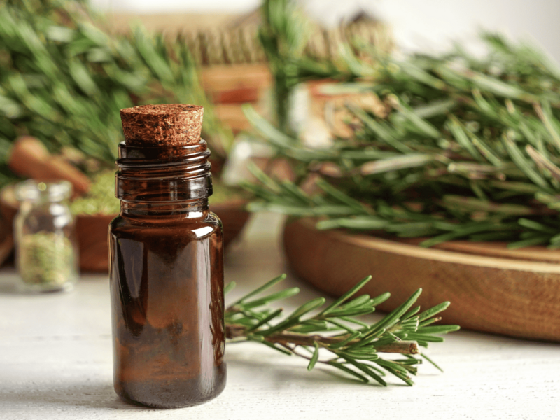 Aceite de romero para el pelo: cómo usarlo y qué beneficios tiene