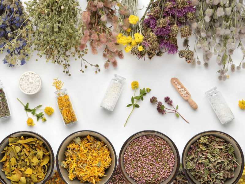 ¿Qué es la fitoterapia? Beneficios y usos para tu salud diaria