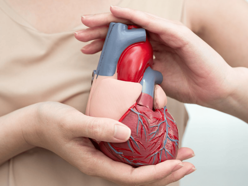 L-Carnitina: para qué sirve, beneficios y cómo tomarla