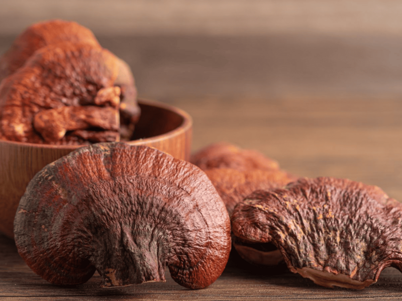 Reishi: propiedades, beneficios y contraindicaciones del hongo milenario