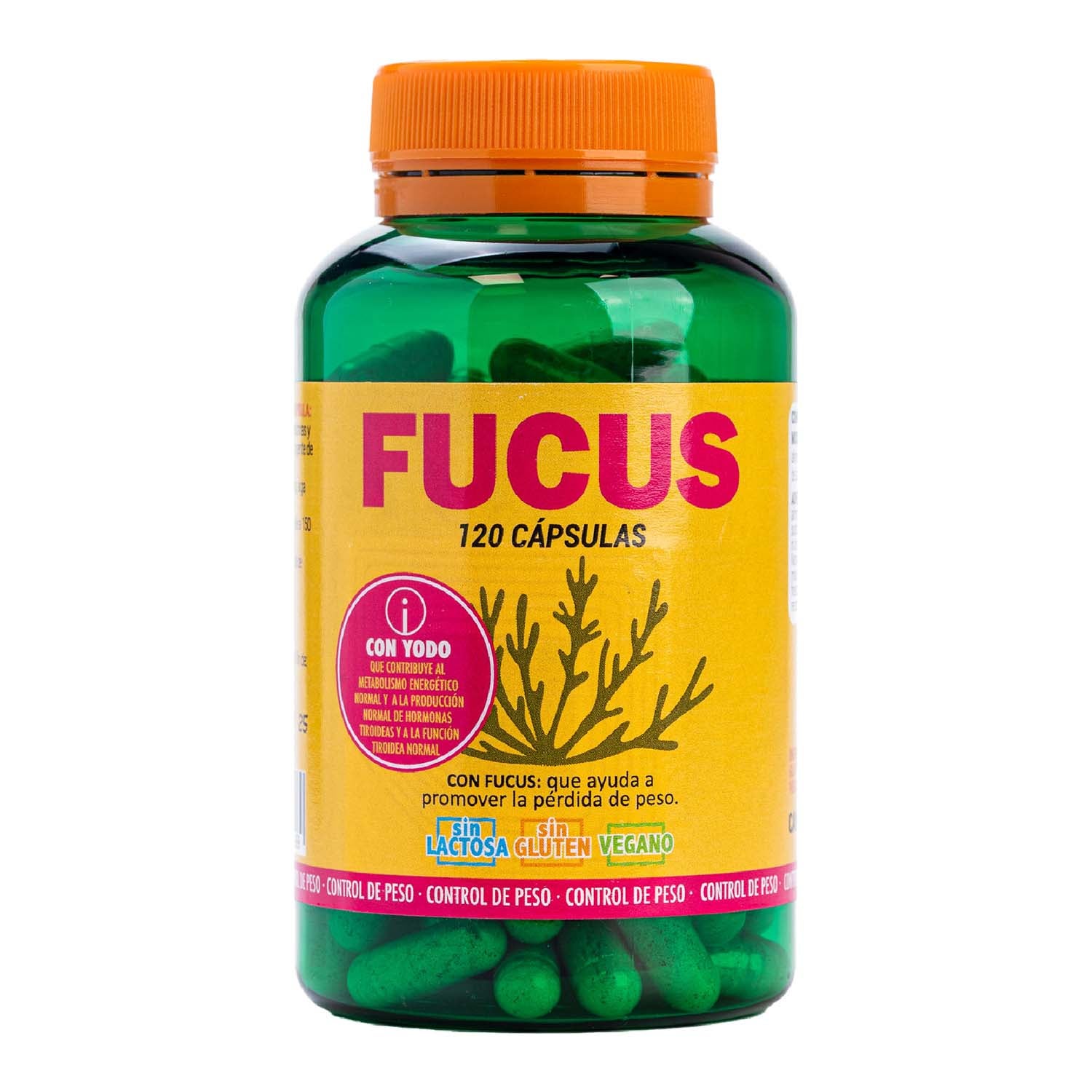 Alga Fucus 120 cápsulas Terra Verda