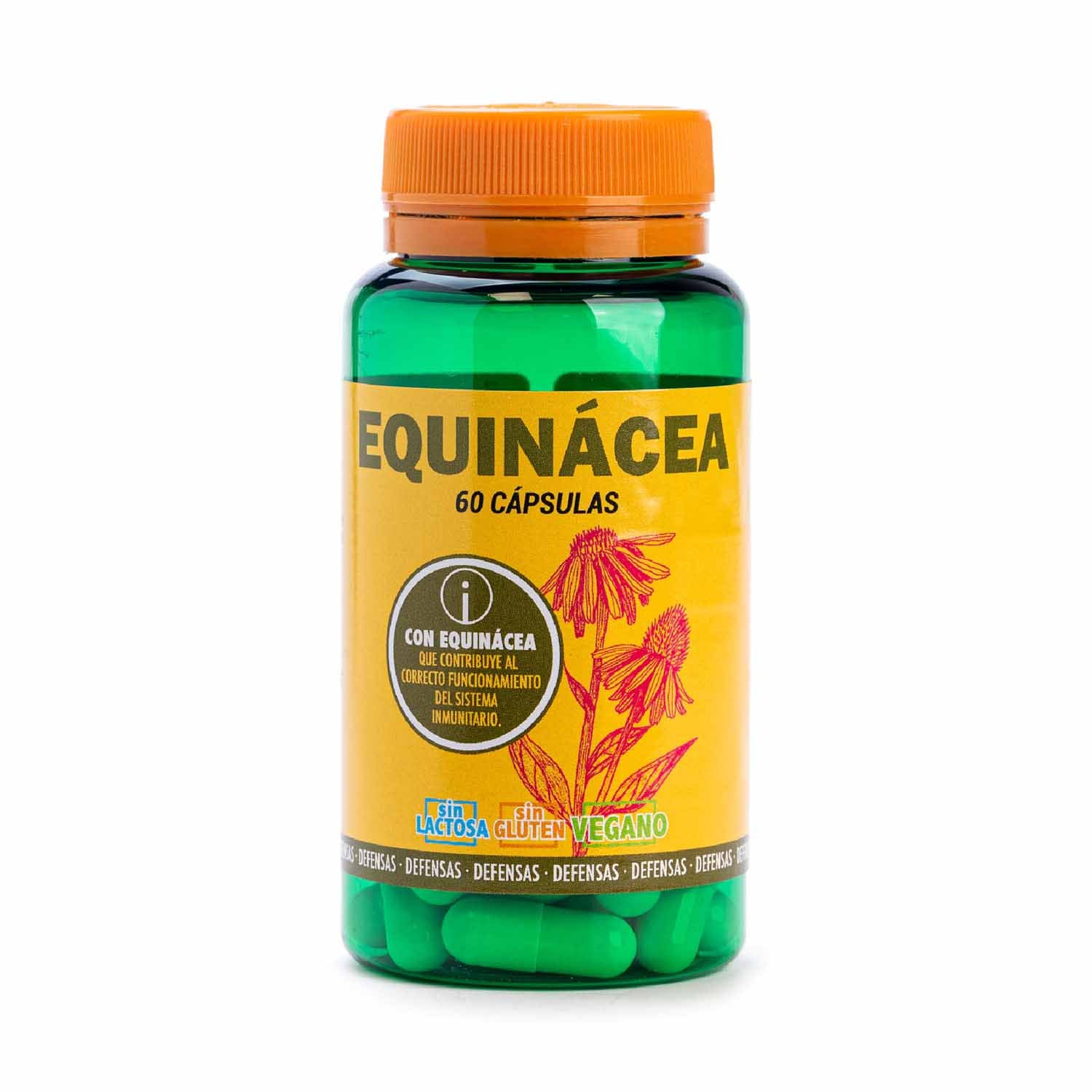 Equinácea 60 cápsulas Terra Verda