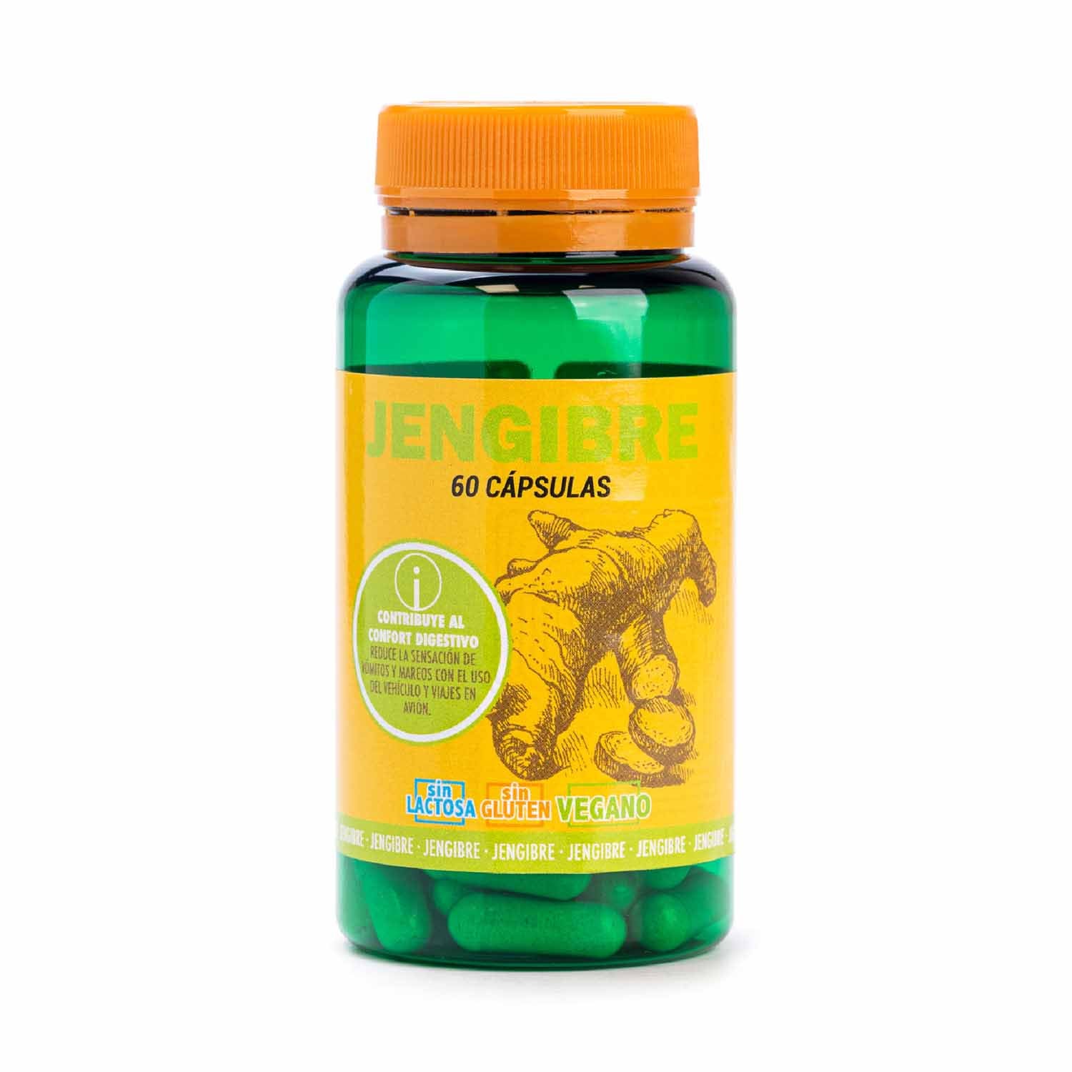 Jengibre 60 cápsulas Terra Verda