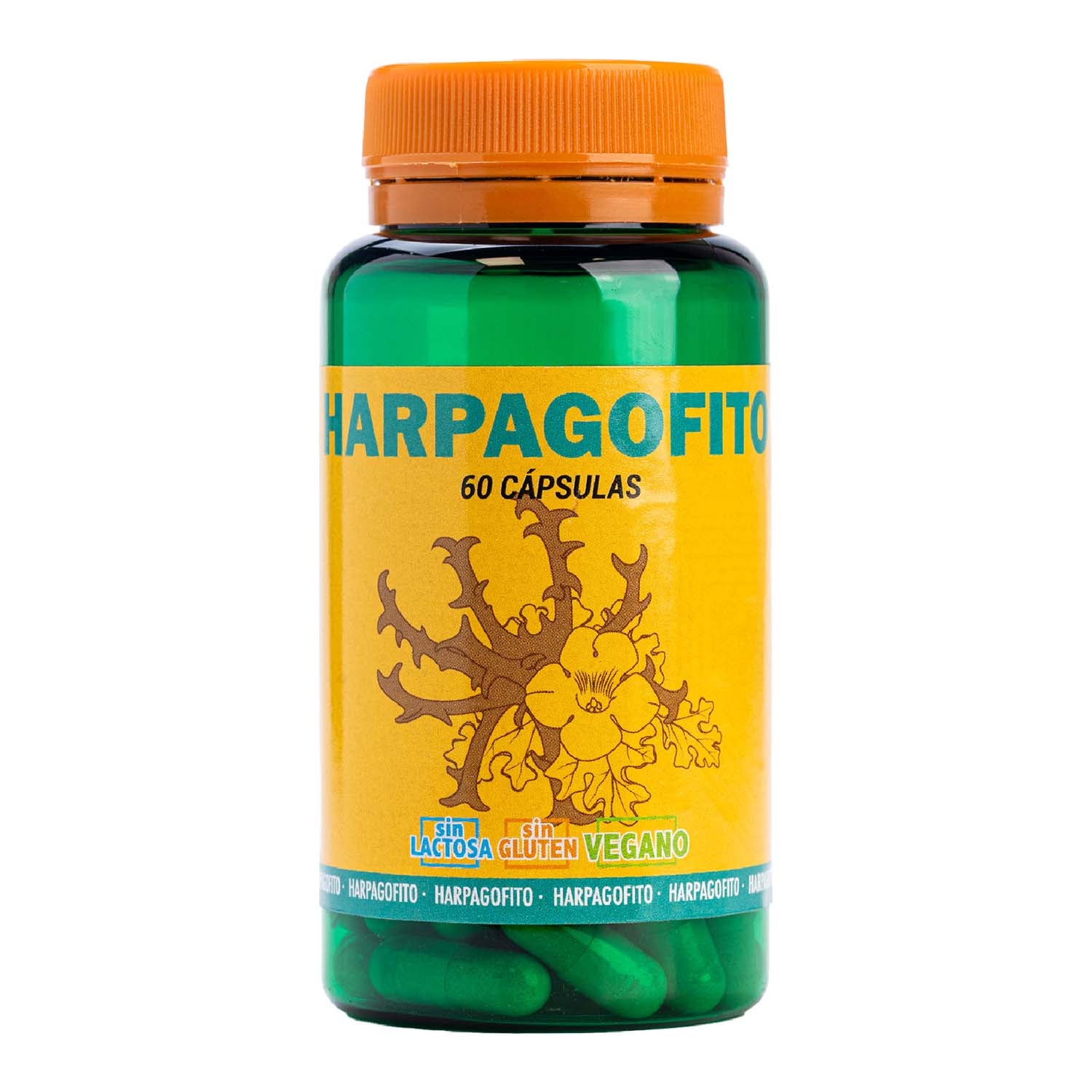 Harpagofito 60 cápsulas Terra Verda