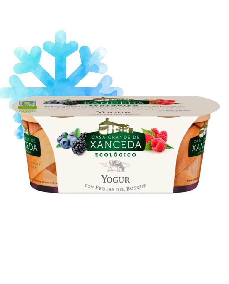 Yogur cremoso eco frutas del bosque 2uds Casa Grande De Xanceda