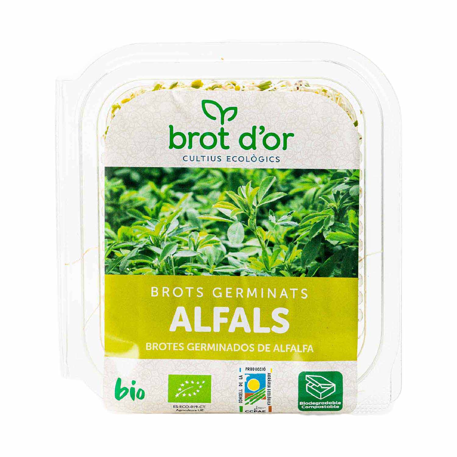 Germinado Alfalfa 70g Brot d´Or