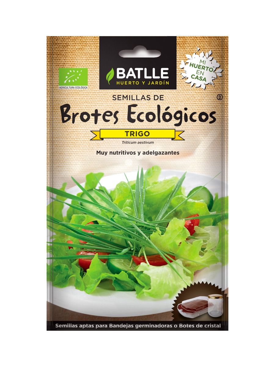 Semillas de Trigo para Germinar Batlle