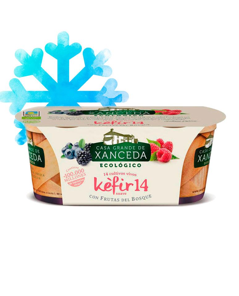 Kéfir cremoso con frutos del bosque 2uds Casa Grande De Xanceda