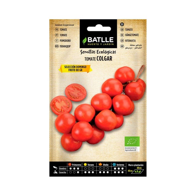 Semillas de Tomate de Colgar Batlle
