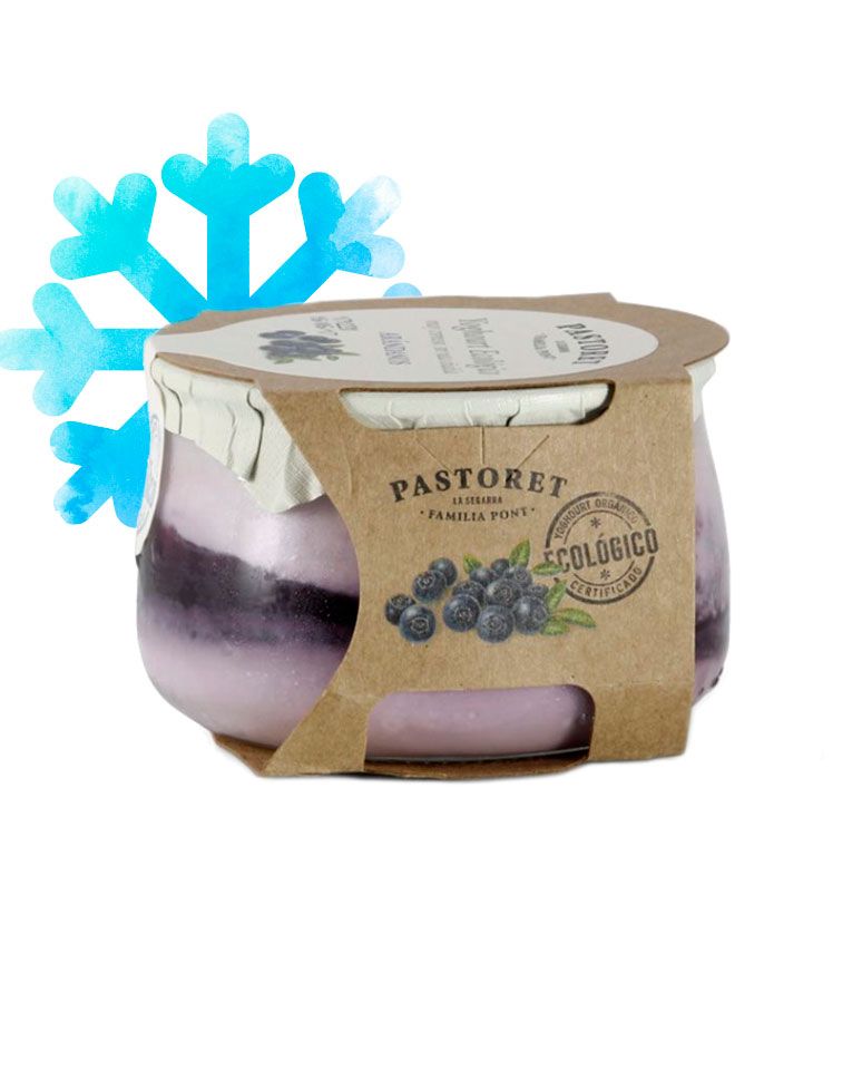 Yogur Eco de Arándanos 135g Pastoret