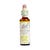 Flores de Bach nº 16 Madre Selva 20ml Dr. Bach