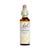 Flores de Bach nº 17 Hojarazo 20ml Dr. Bach