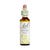 Flores de Bach nº 21 Mostaza 20ml Dr. Bach
