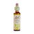 Flores de Bach nº 9 Clematide 20ml Dr. Bach