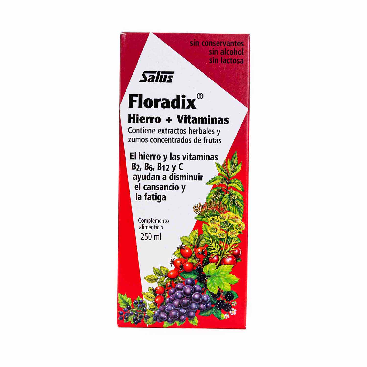 Floradix en jarabe 250ml Salus