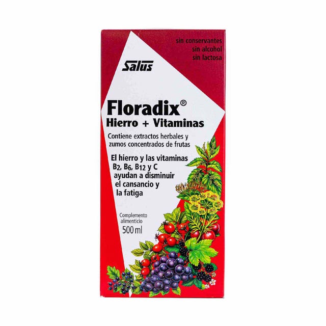 Floradix 500ml Salus