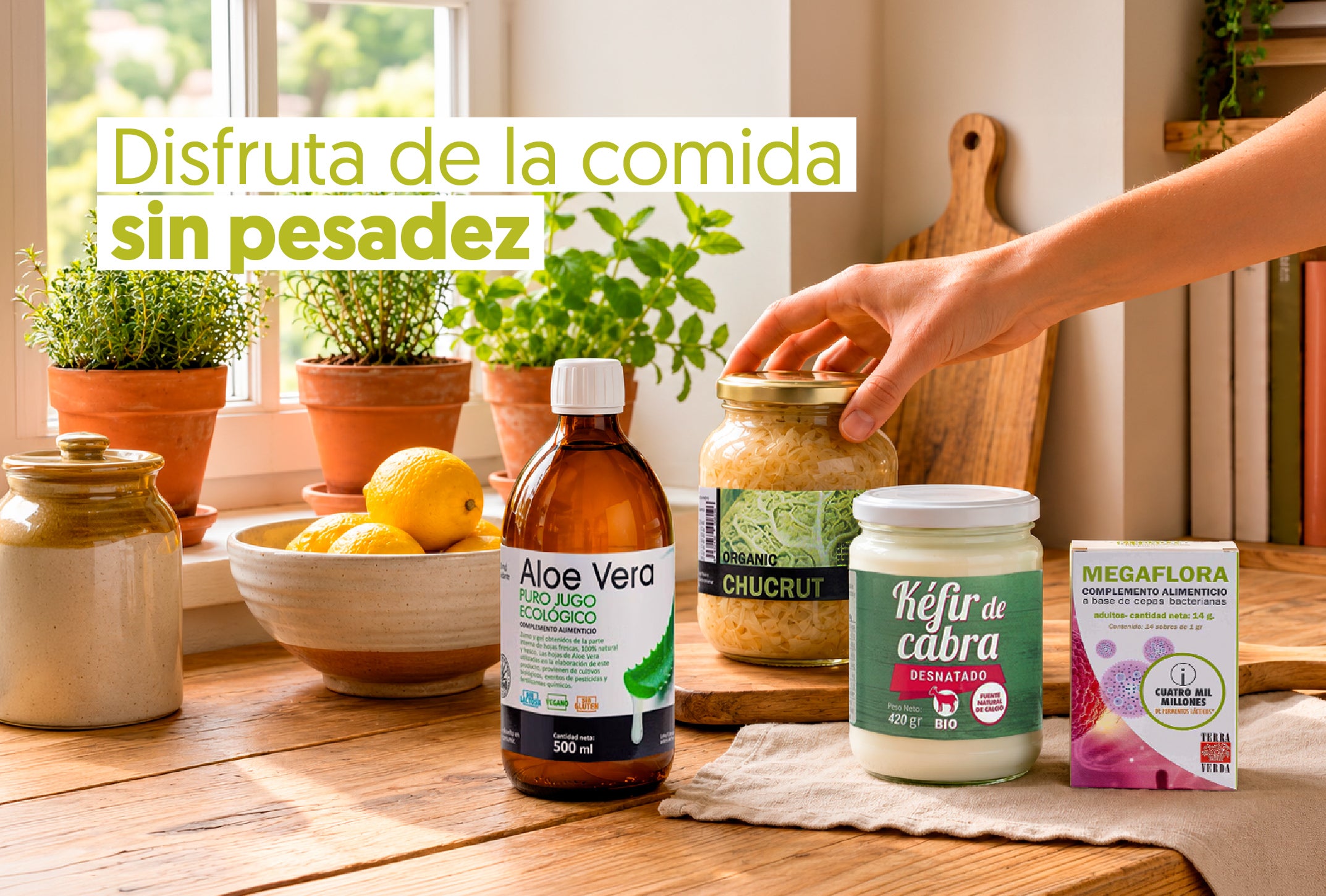 Digestión ligera