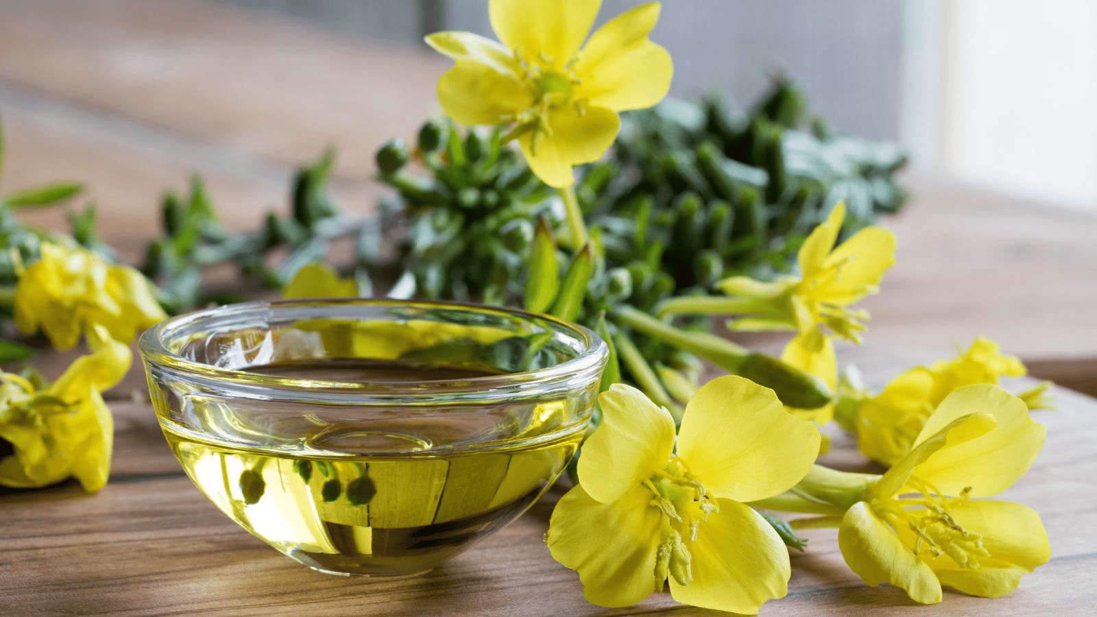 Aceite de Onagra: propiedades, beneficios y cómo tomarlo