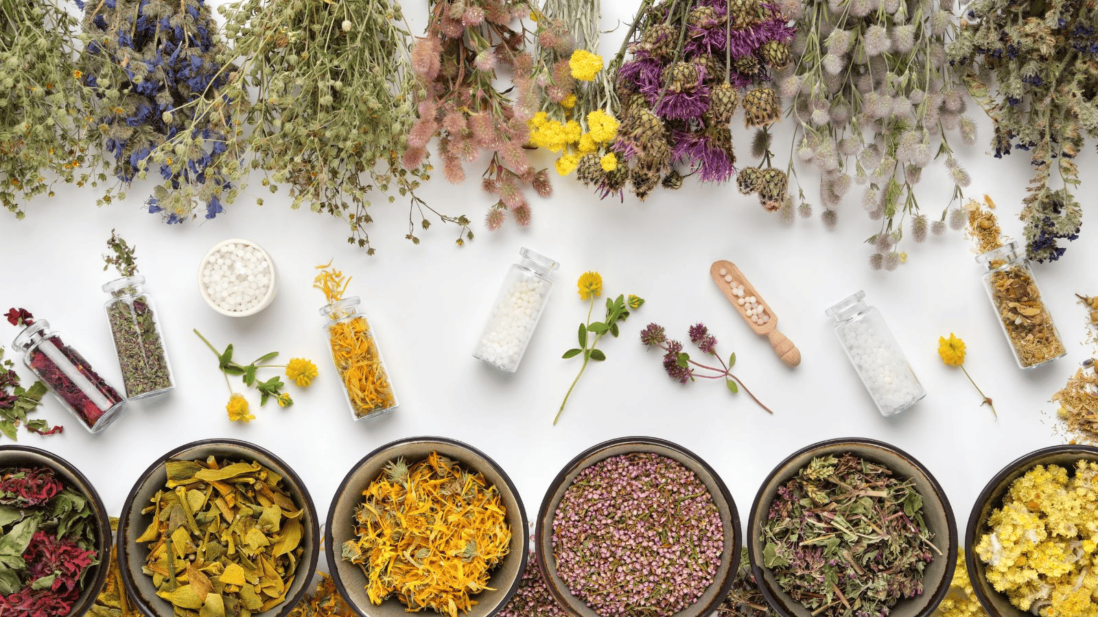 ¿Qué es la fitoterapia? Beneficios y usos para tu salud diaria