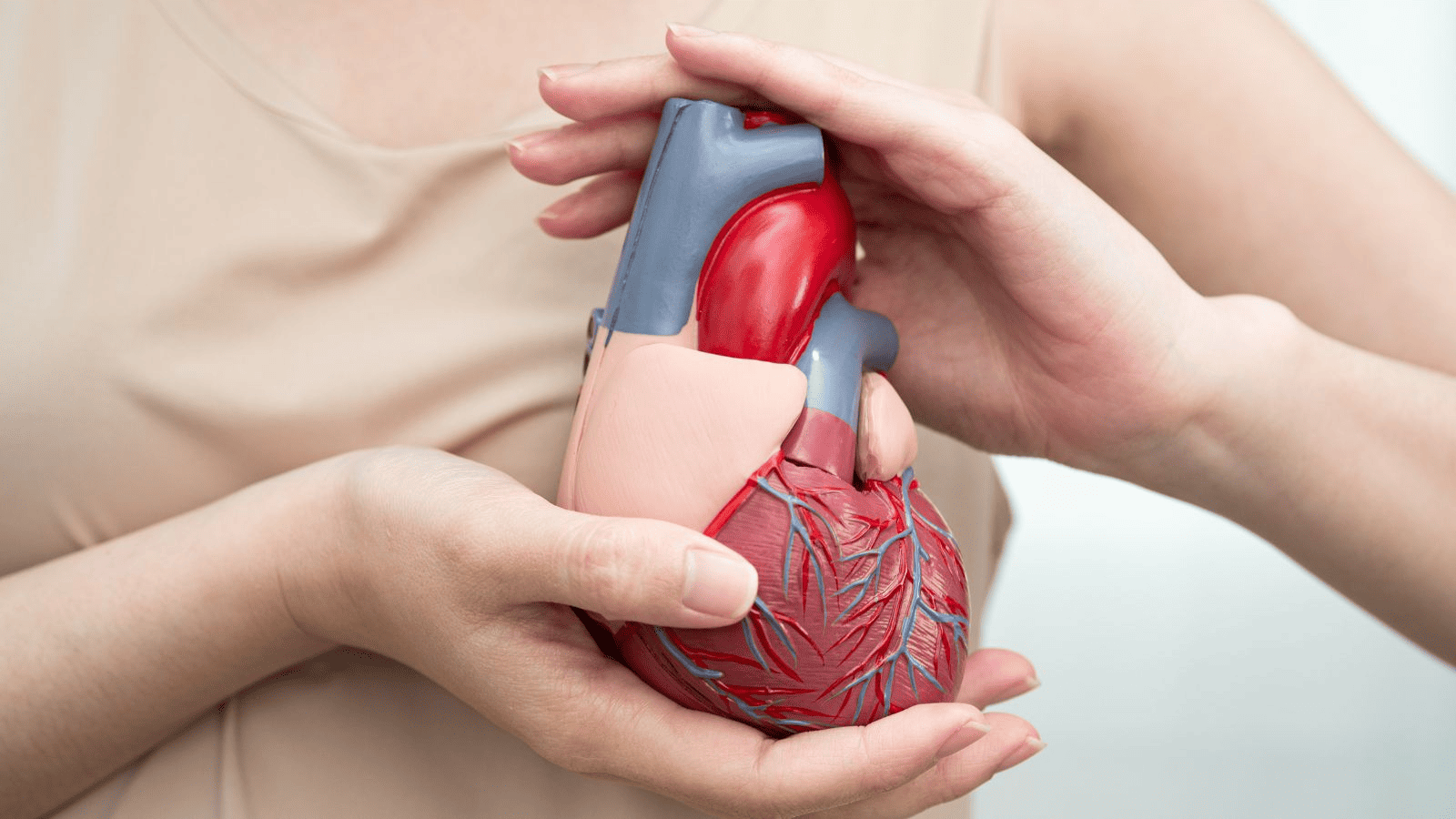 L-Carnitina: para qué sirve, beneficios y cómo tomarla