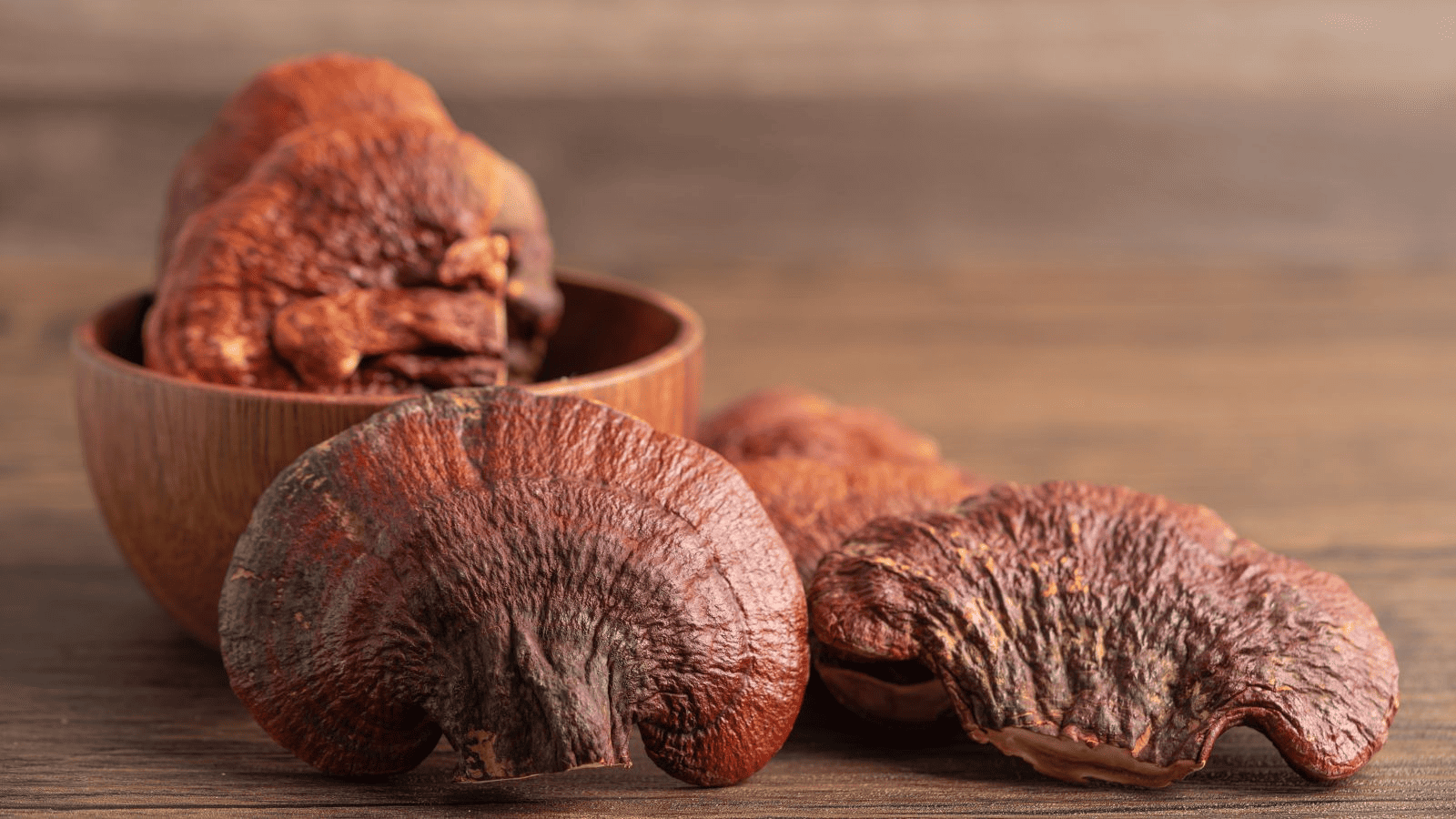 Reishi: propiedades, beneficios y contraindicaciones del hongo milenario