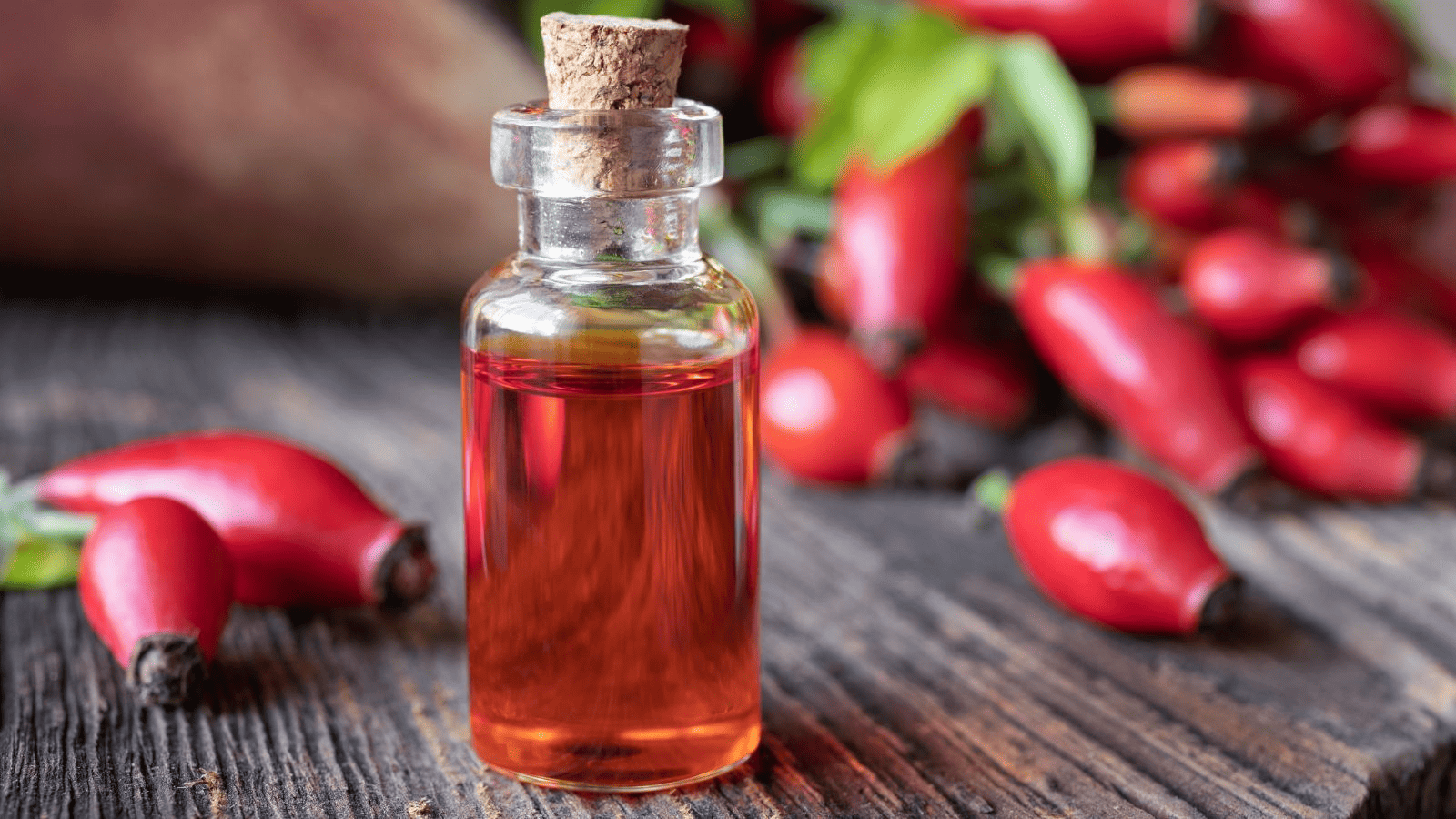 Rosa Mosqueta: Propiedades y beneficios para regenerar tu piel