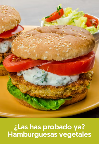 imgi_5___hamburguesas-vegetales