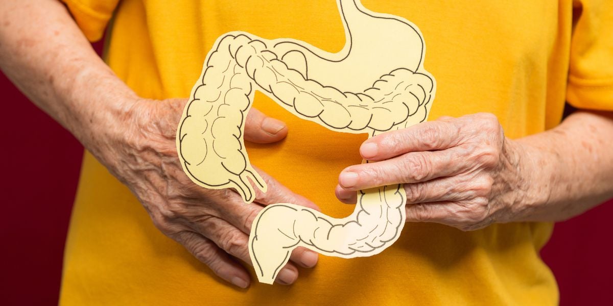 Microbiota y salud digestiva