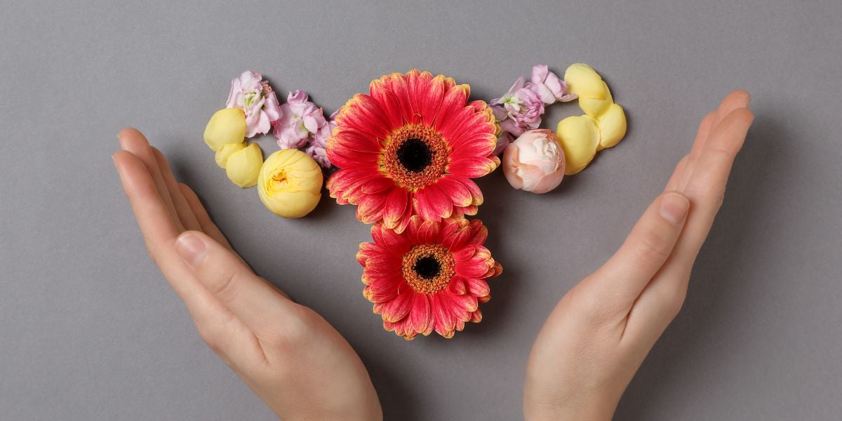 Menopausia y antioxidantes: claves para tu bienestar