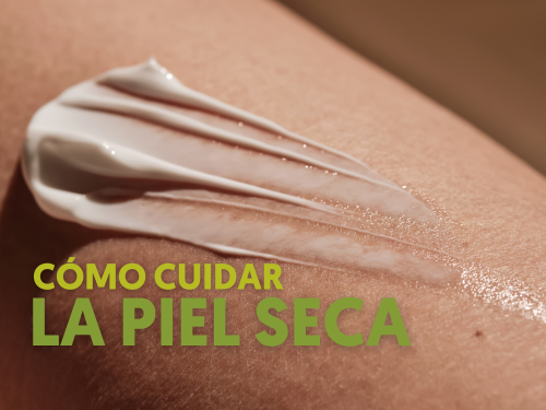 Piel seca