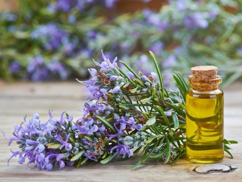 Aceite de romero para el pelo