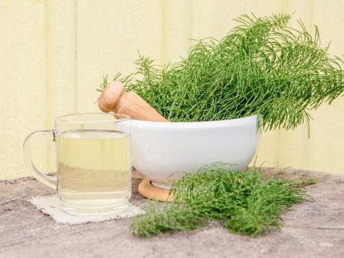 cola-caballo-propiedades-beneficios Infusión de cola de caballo